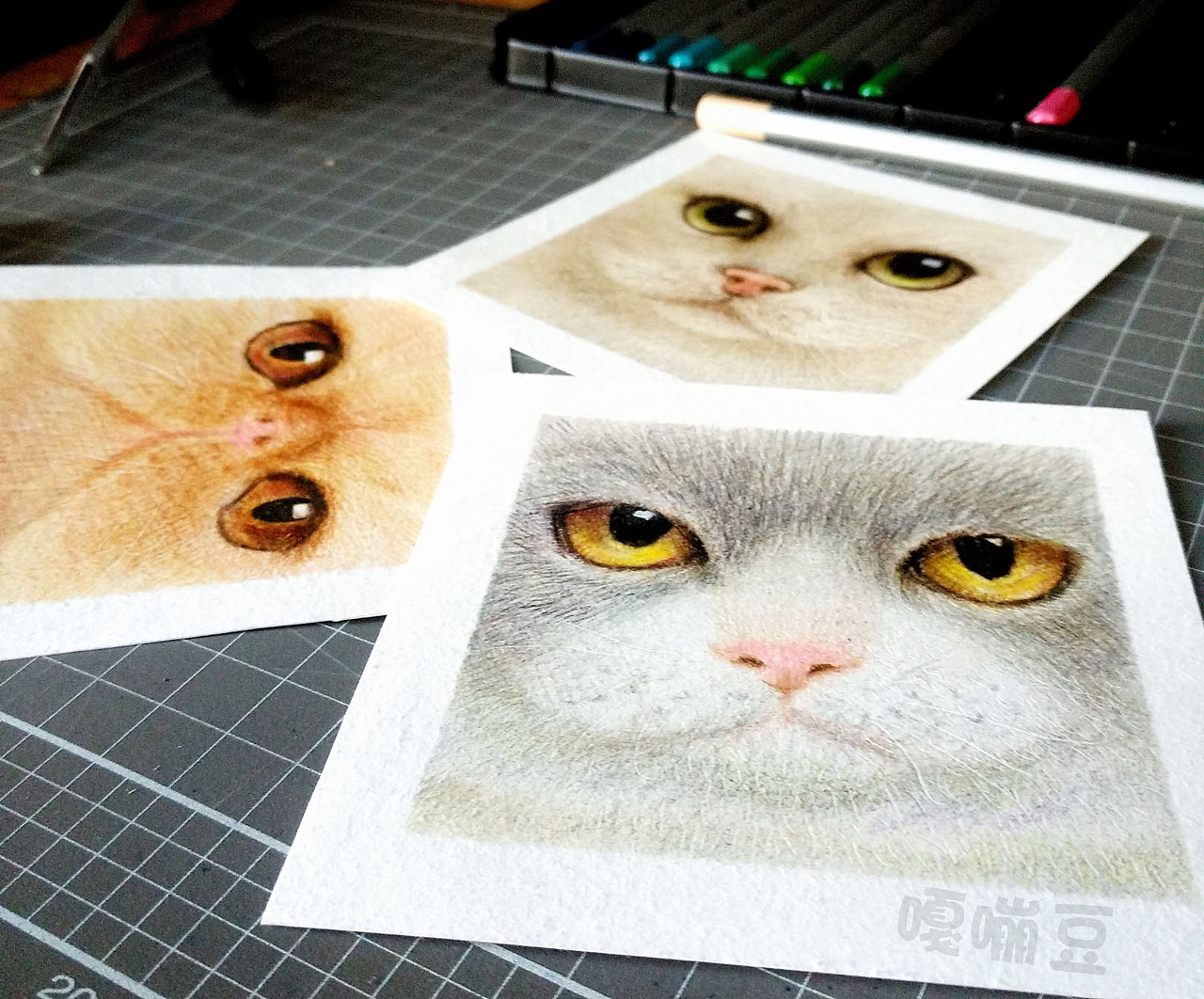 彩铅创作~小猫脸儿