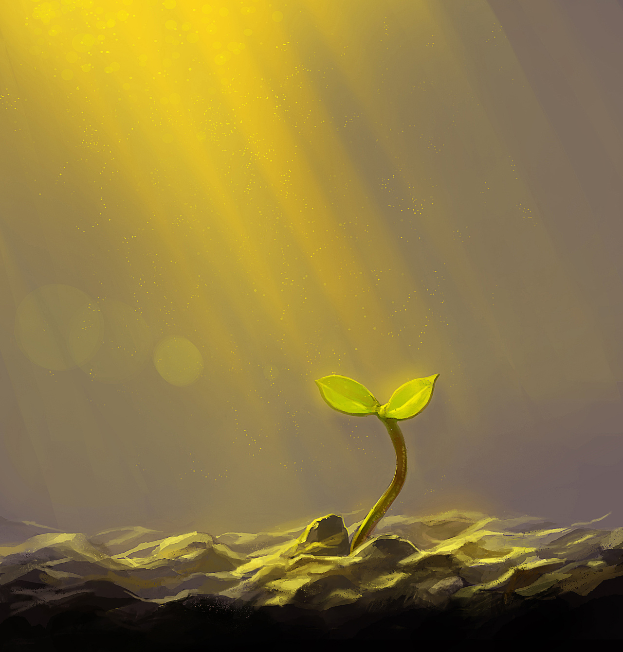 雅安重生系列|插画|商业插画|冰川斜阳 - 原创作品 - 站酷 (zcool)