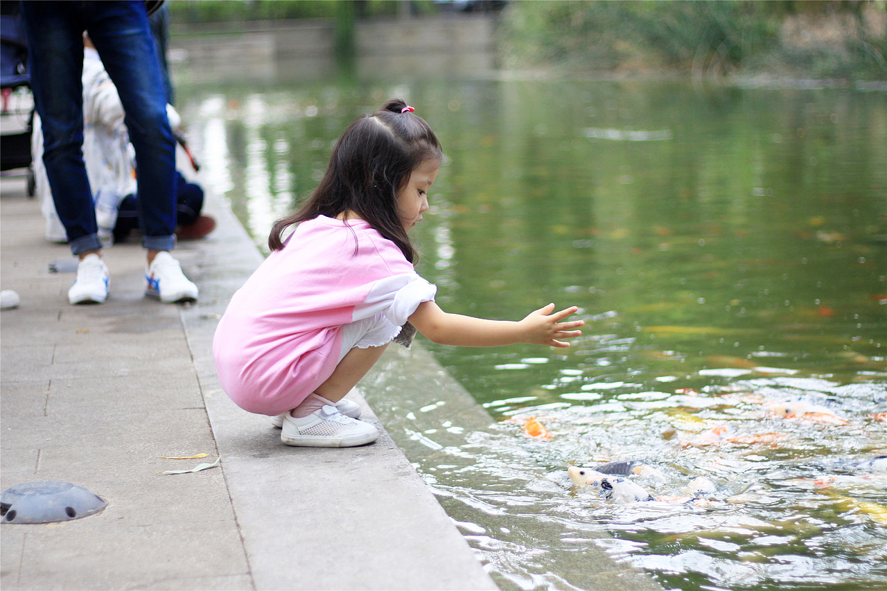 太原龙潭公园栖凤湖湿地