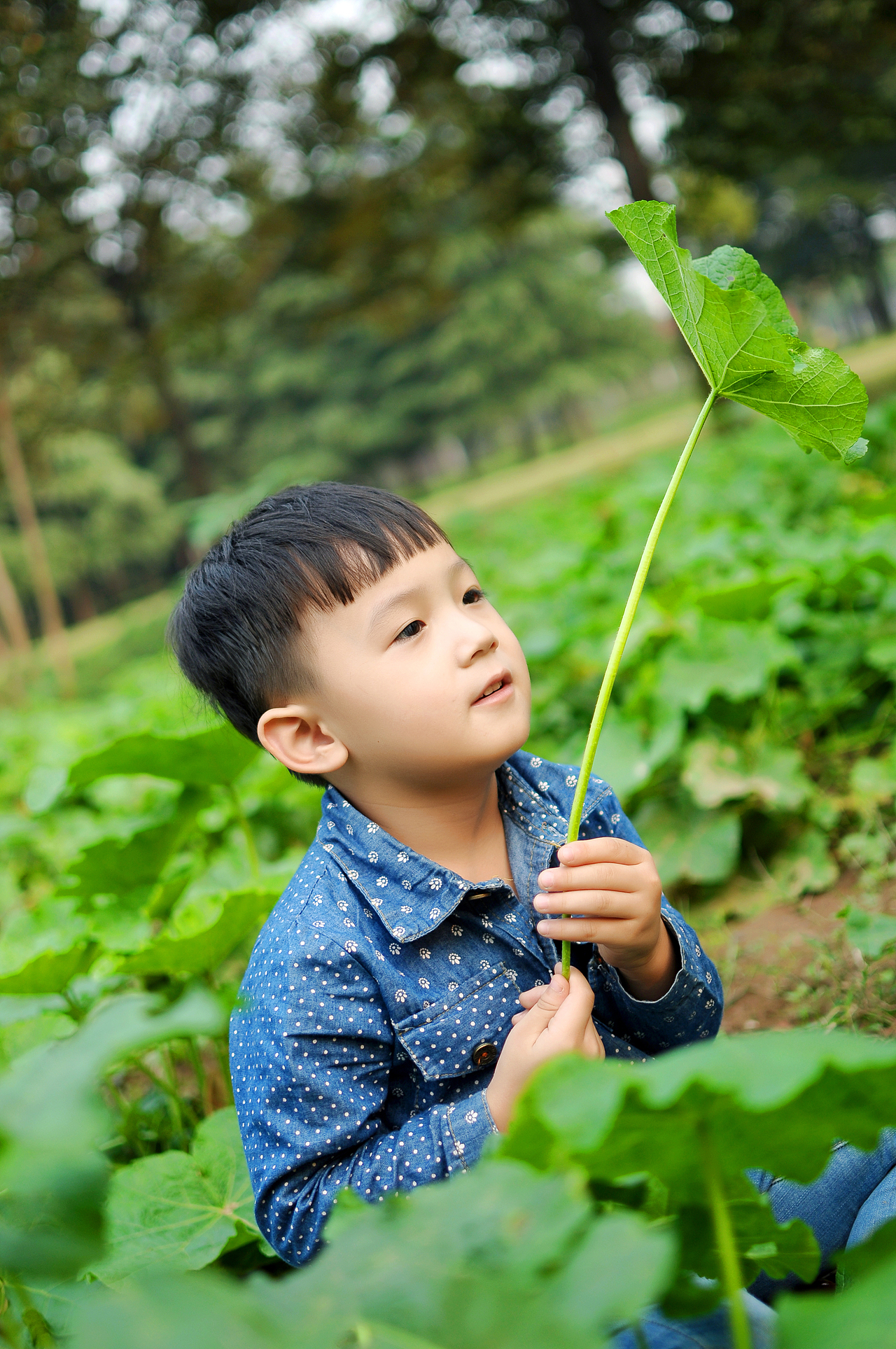 best小霞-萌娃与萌宠（图ZNjE2Mjc2NDA=） - 人像摄影 - 站酷设计师best小霞原创素材 - 站酷ZCOOL