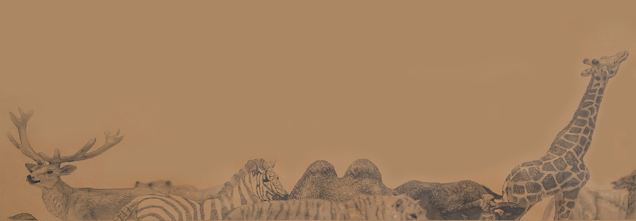 《迷悟》系列插画