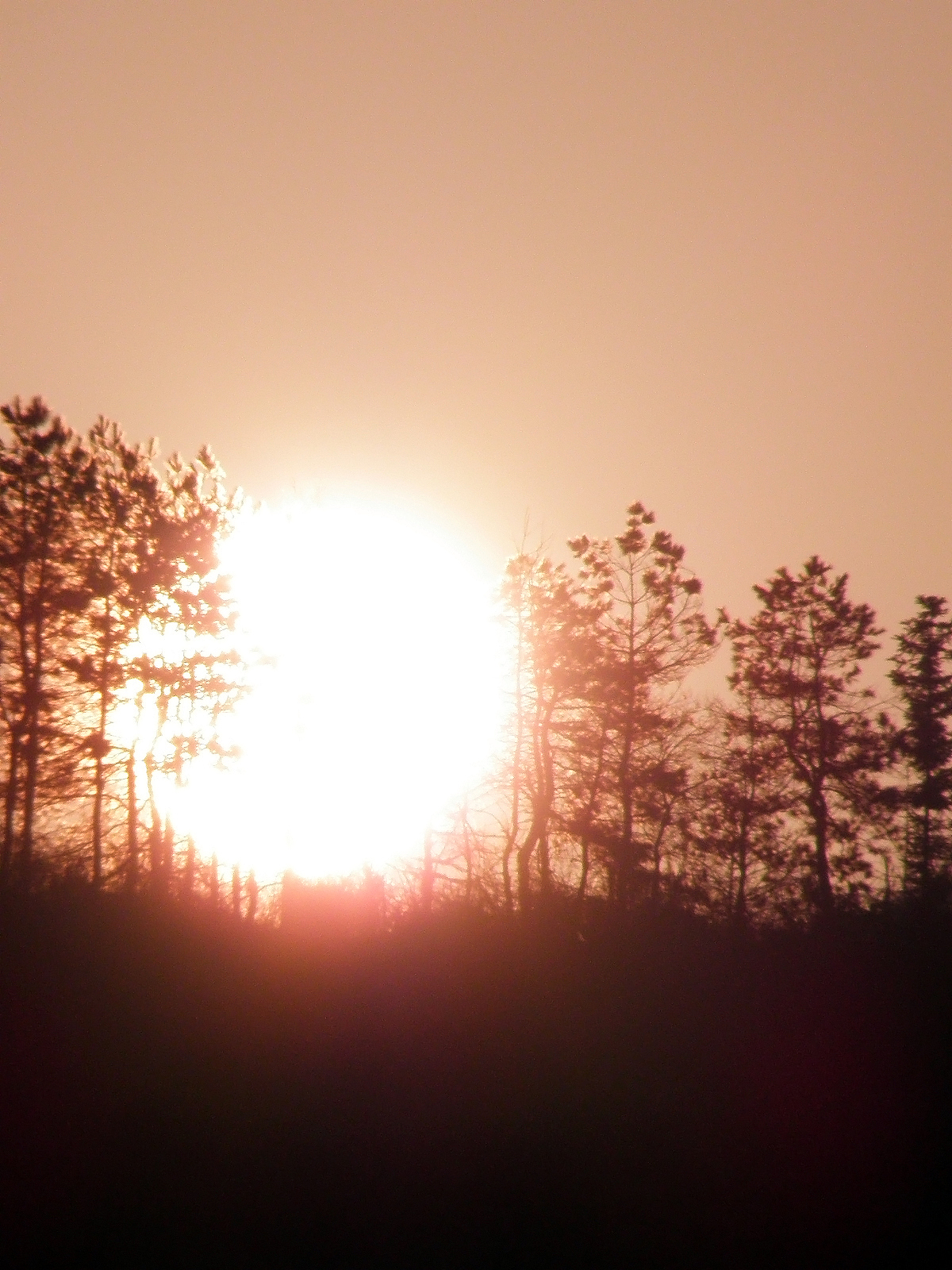 摄影作品！匆匆那年(风景摄影、人物摄影、微距摄影）