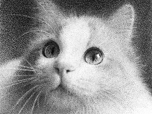 点绘猫