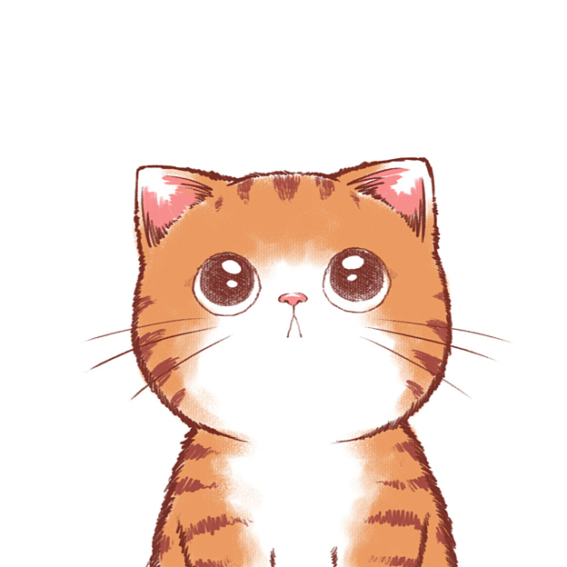 带上橘猫去旅行橘猫木瓜的表情包