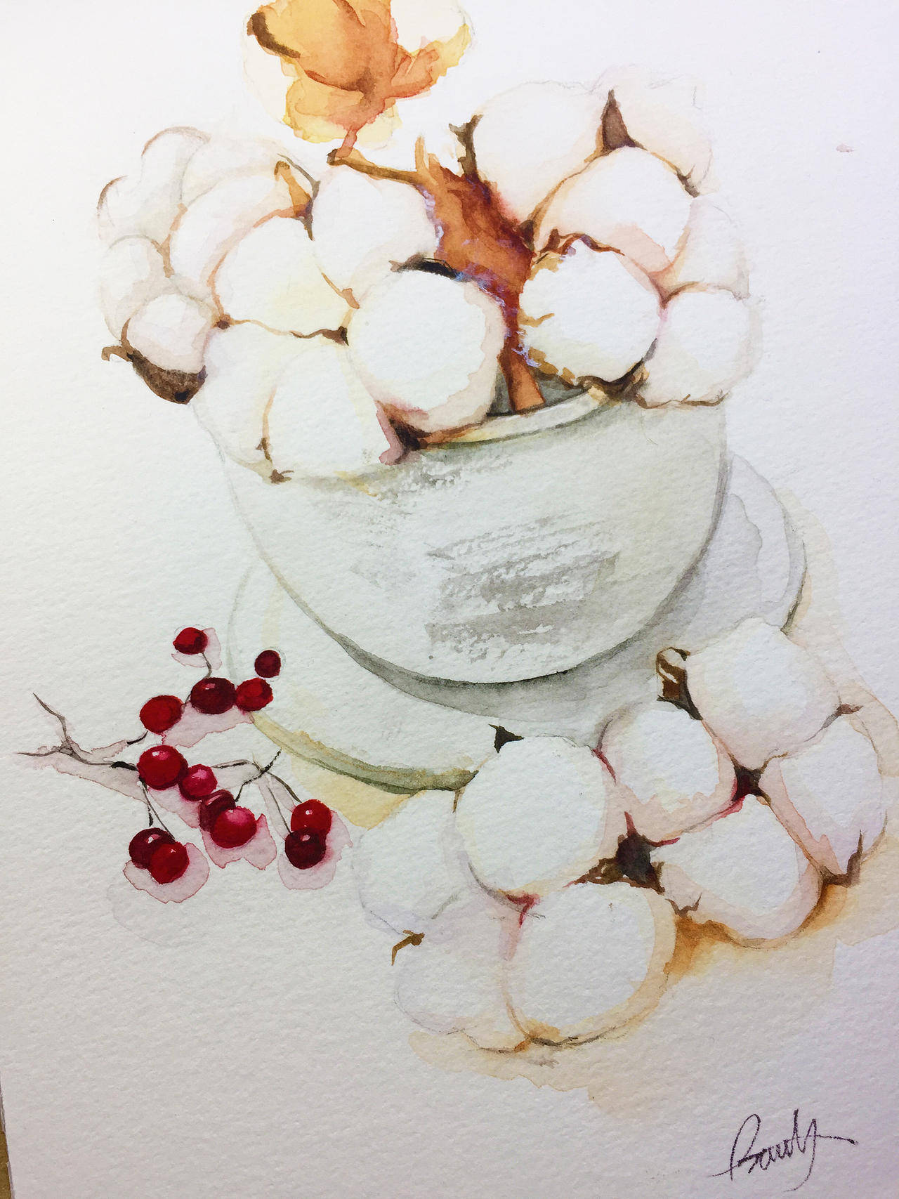 水彩手绘-棉花|纯艺术|绘画|蒲之未落_原创作品-站酷zcool