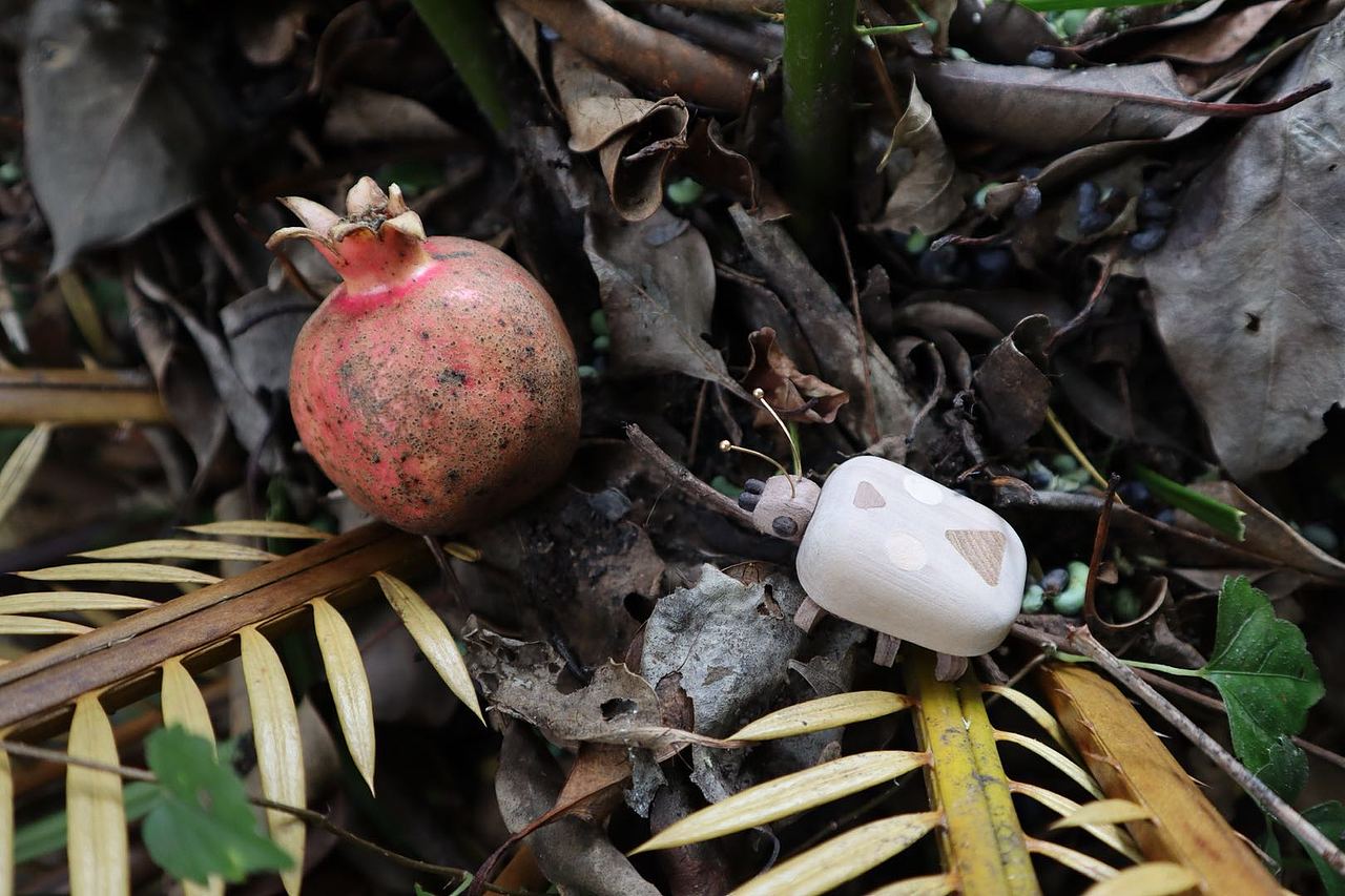 消失的昆虫们 Moil's handmade