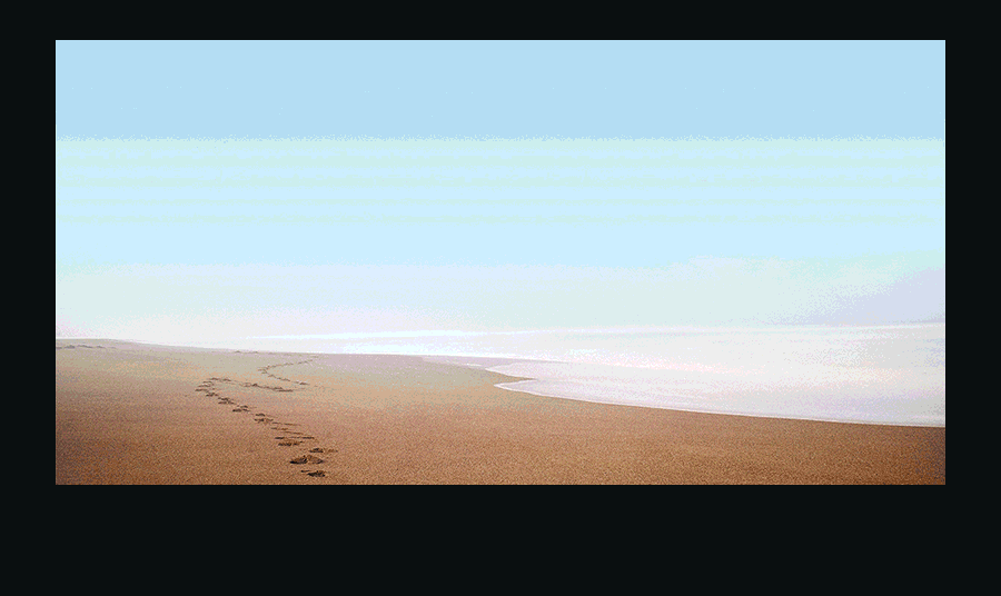 2016东风英菲尼迪夏季关怀服务月主视觉