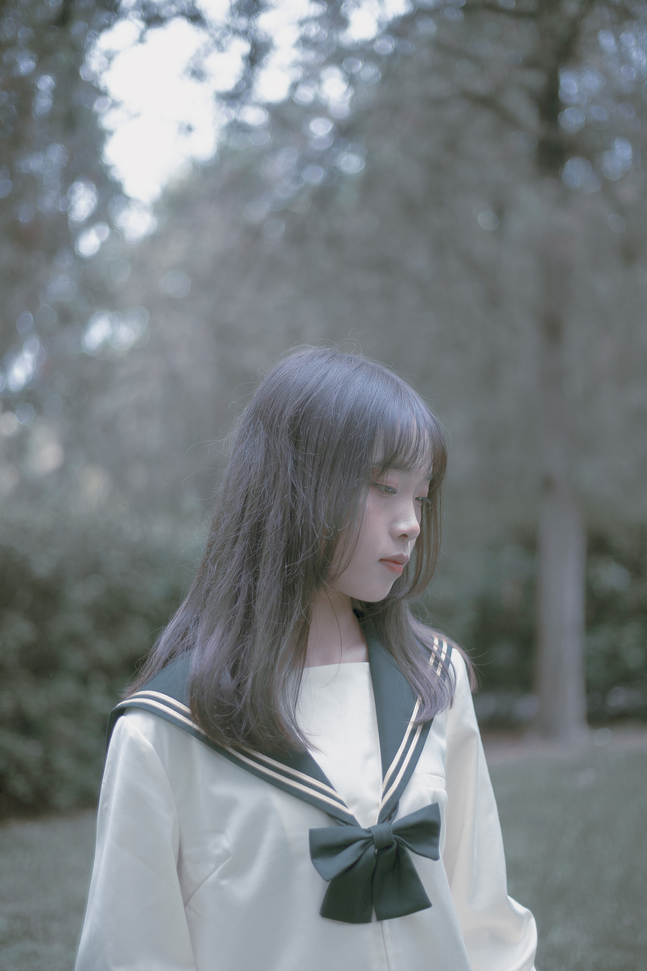 记忆森林（图ZMTk5MjY1NzQw） - 人像摄影 - 站酷设计师清风少年原创素材 - 站酷ZCOOL