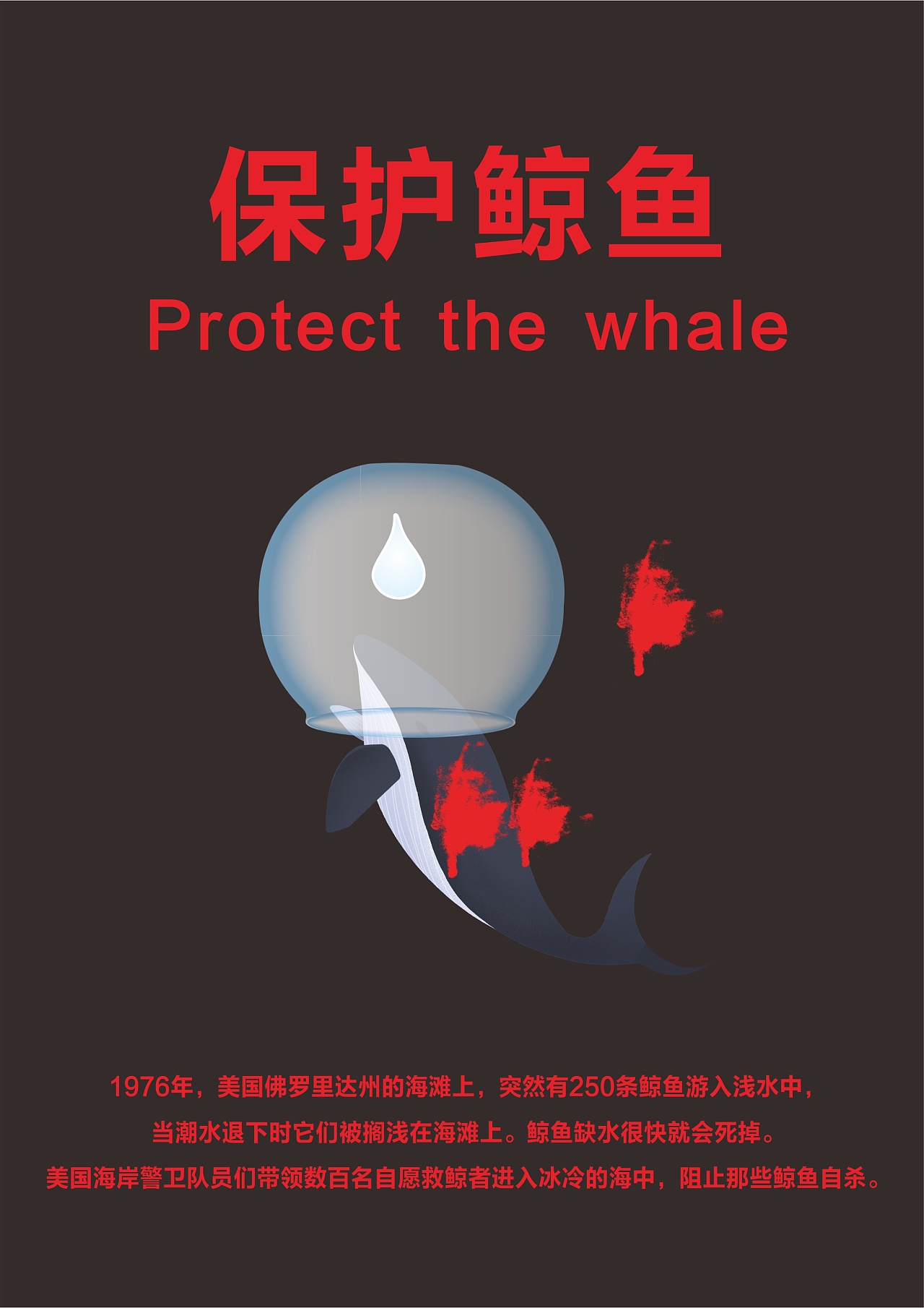 保护水下生物海报图片