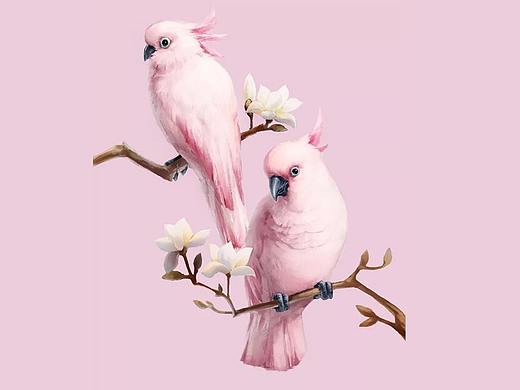 内衣展示（个人主页-ZMjg1NzYxNjQ=） - 电商 - 站酷设计师听说你也喜欢设计原创素材 - 站酷ZCOOL