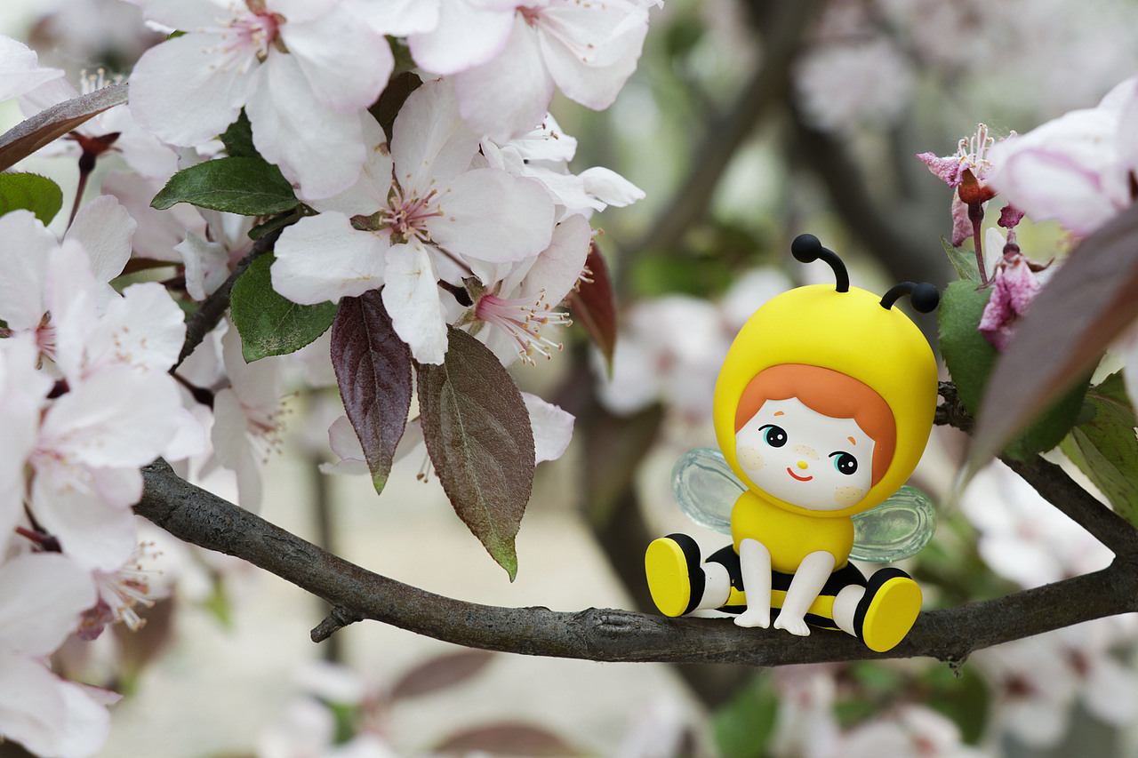 Suri苏蕊郊游记+MuMu春游系列+若来林深不知处场景外拍（图ZMjUwNTQ2OTEy） - 产品摄影 - 站酷设计师让空气飘释原创素材 - 站酷ZCOOL