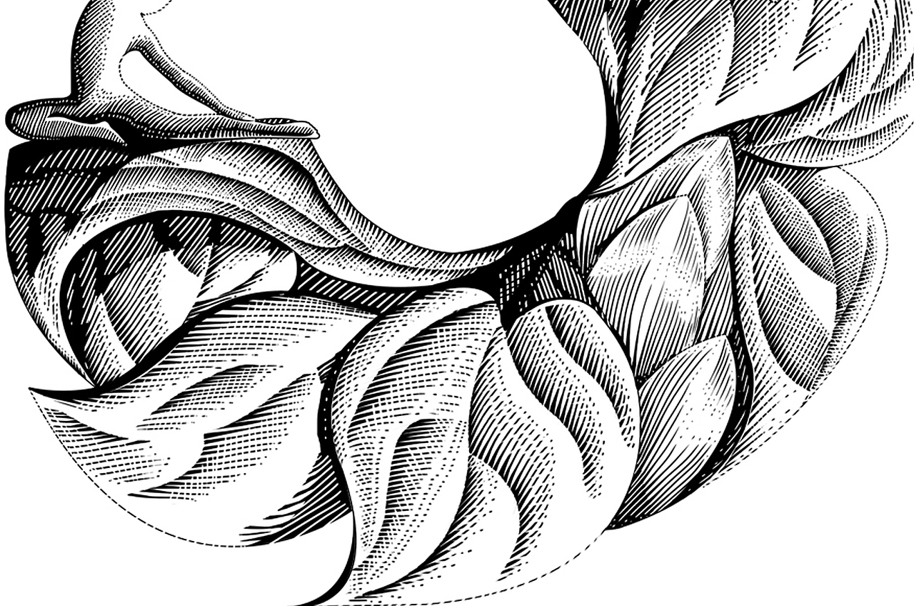 三匠苦荞茶芦丁博士包装