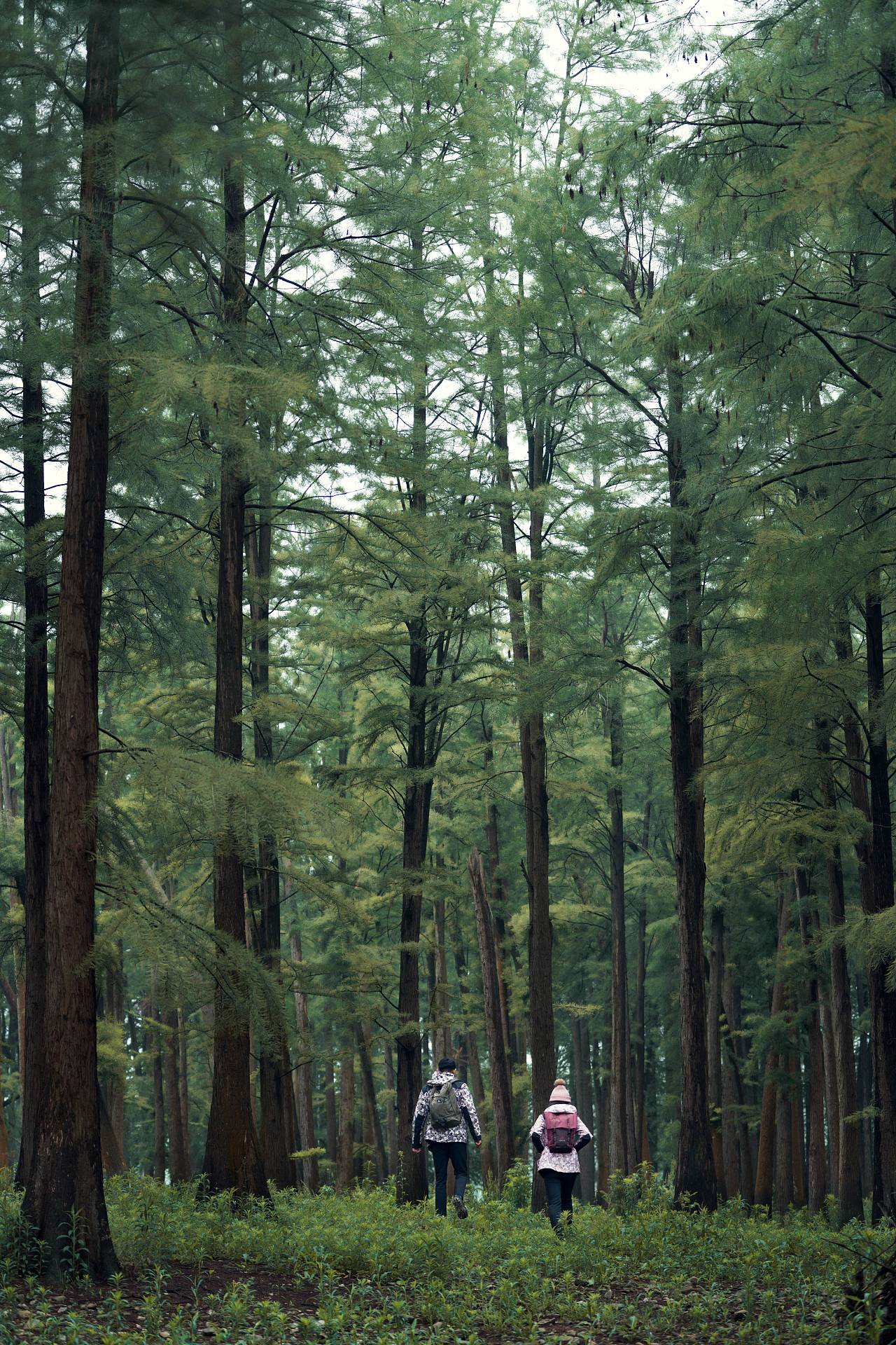 冬季服装（图ZMjYxNzc3NTQw） - 产品摄影 - 站酷设计师黑人不黑原创素材 - 站酷ZCOOL