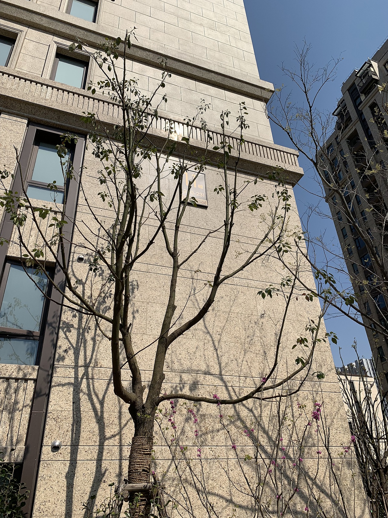 华润华发——静安府