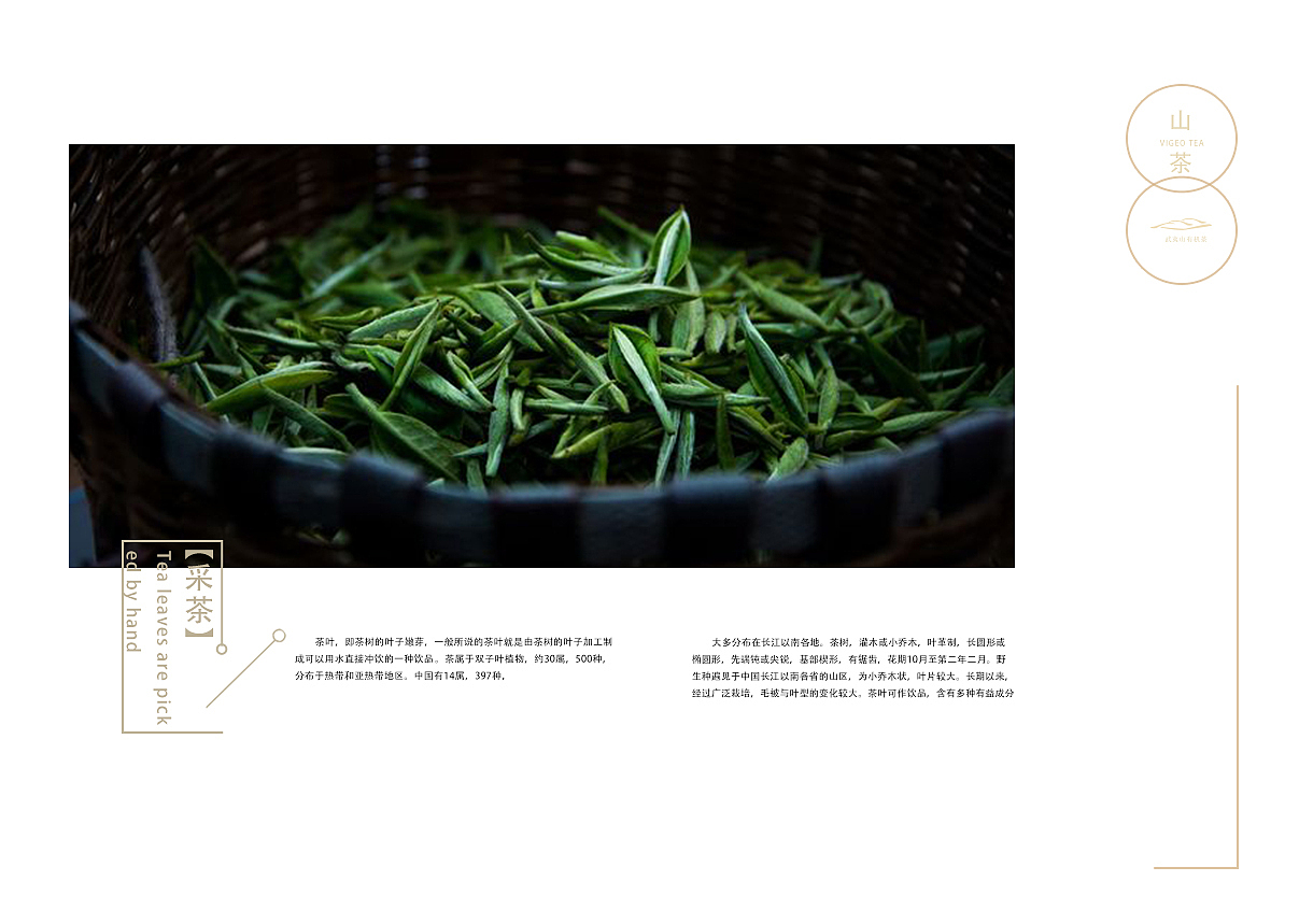 茶叶画册（图ZMTMzNzQ5MTQw） - 书籍/画册 - 站酷设计师陌上倾城原创素材 - 站酷ZCOOL