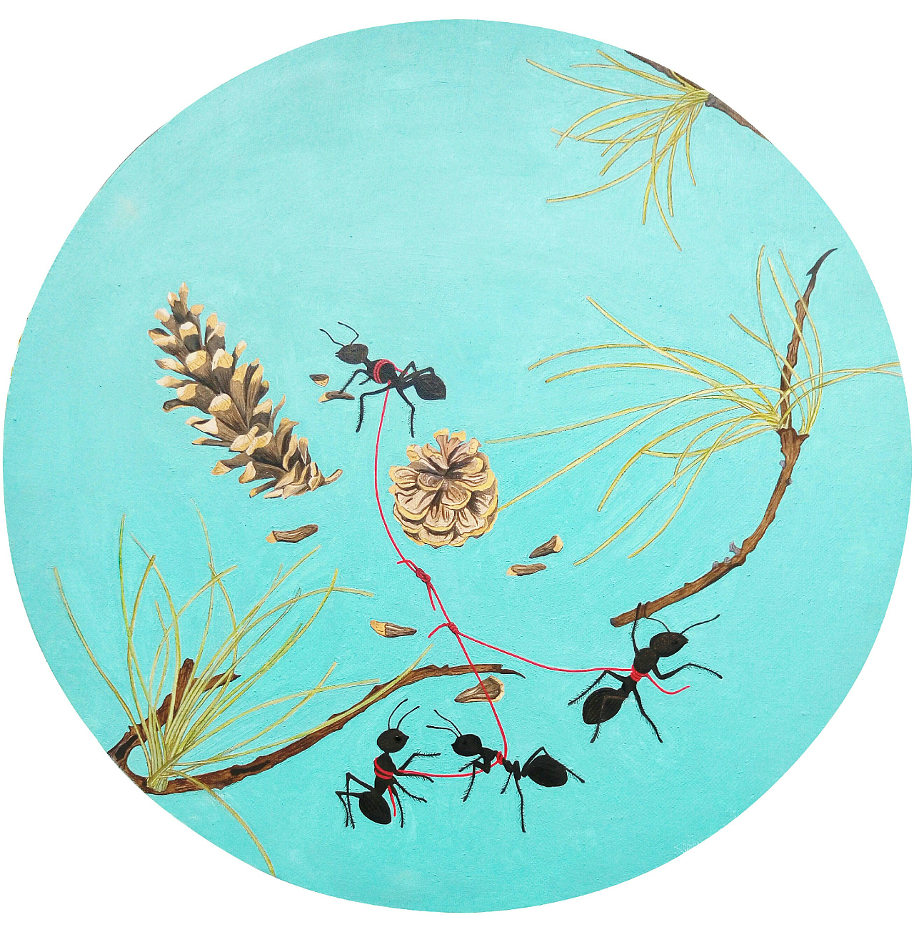 茧|插画|插画习作|阿肆li - 原创作品 - 站酷 (zcool)