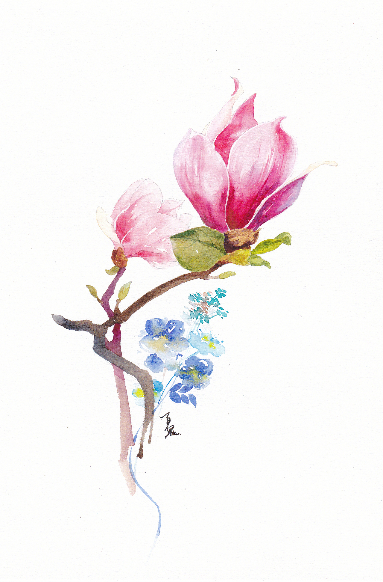 从此爱上木兰花上海/插画师/6年前/428浏览百鬼君