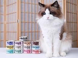 厦门影格视觉猫粮猫罐头视频拍摄-猫宅一生罐头
