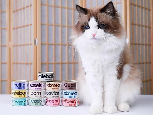 厦门影格视觉猫粮猫罐头视频拍摄-猫宅一生罐头