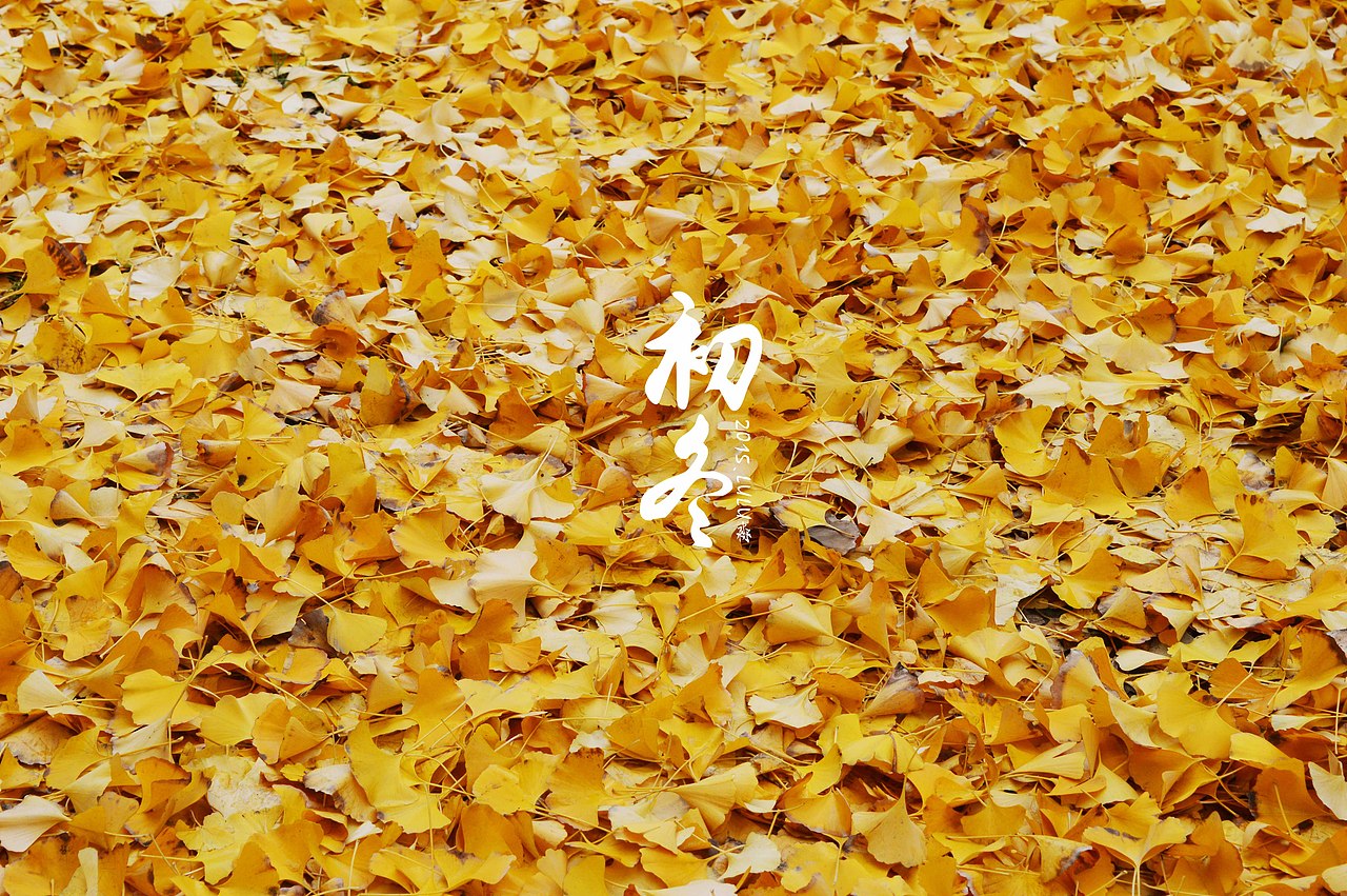 初冬美景（图ZMzczNjI1NjQ=） - 风光摄影 - 站酷设计师LULU淼原创素材 - 站酷ZCOOL