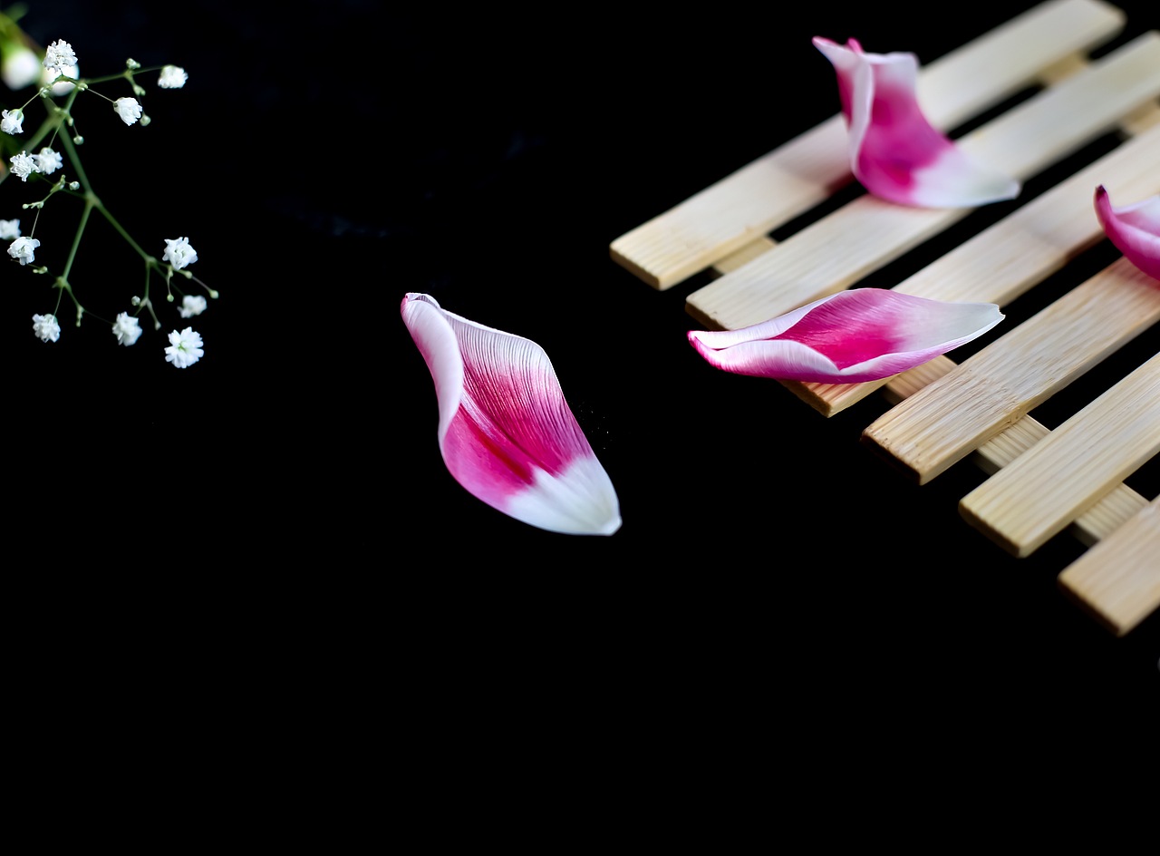 花落的声音（图ZMTAzMDk4OTYw） - 产品摄影 - 站酷设计师暴走的小粗腿儿原创素材 - 站酷ZCOOL