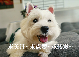《QQ飞车H5》登场！！附上闪电动画教程！！（图ZMTE3ODIzNzA4） - 短片 - 站酷设计师一米天文化原创素材 - 站酷ZCOOL