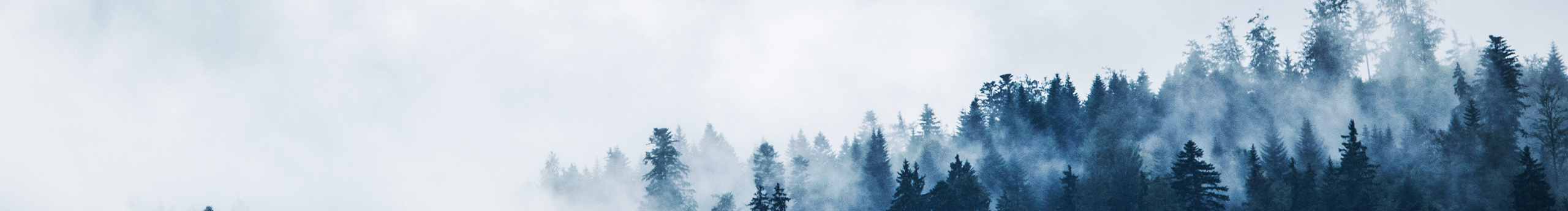 Dido爱放羊的个人主页（封面预览） - 主页封面设置 - 站酷设计师Dido爱放羊原创素材 - 站酷ZCOOL