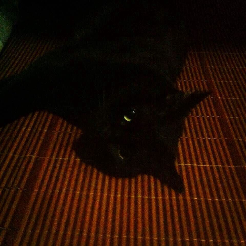 不知道叫什么名称好