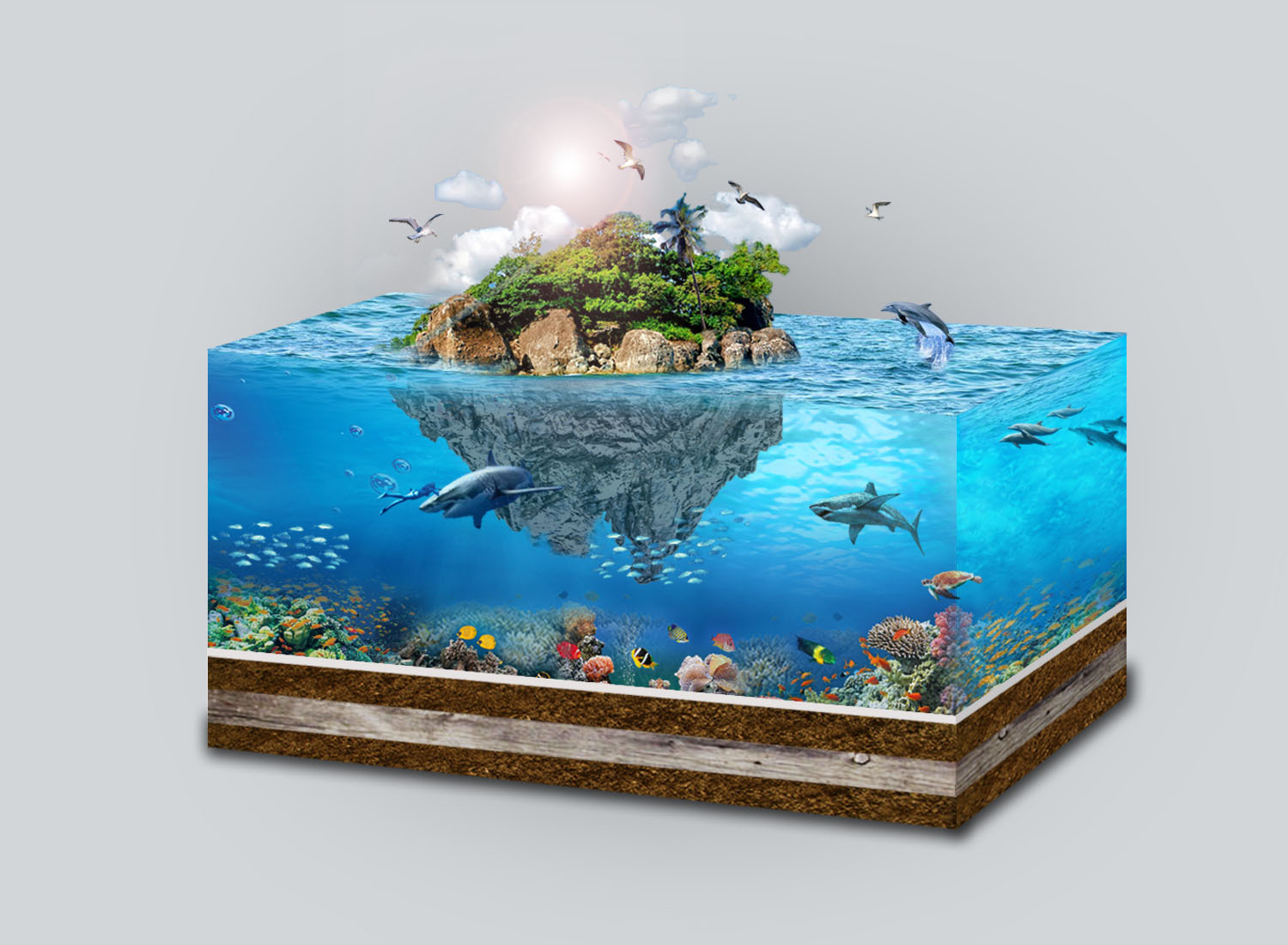 鱼缸里的海底世界