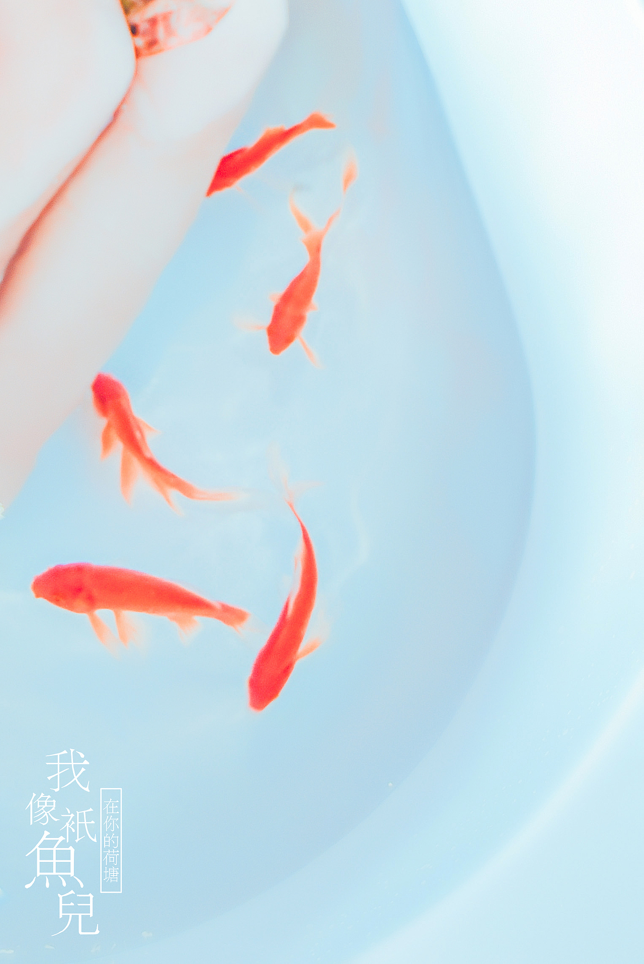 我像只鱼儿（图ZODkyNjI5MTI=） - 人像摄影 - 站酷设计师雷影集原创素材 - 站酷ZCOOL