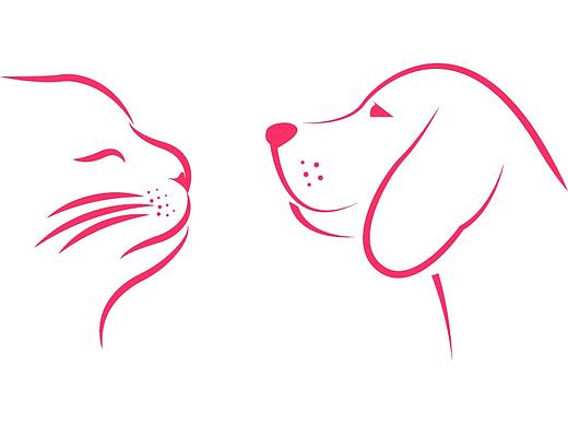 简笔猫猫狗狗