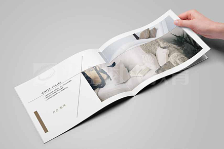 平面--品牌--画册--logo--海报