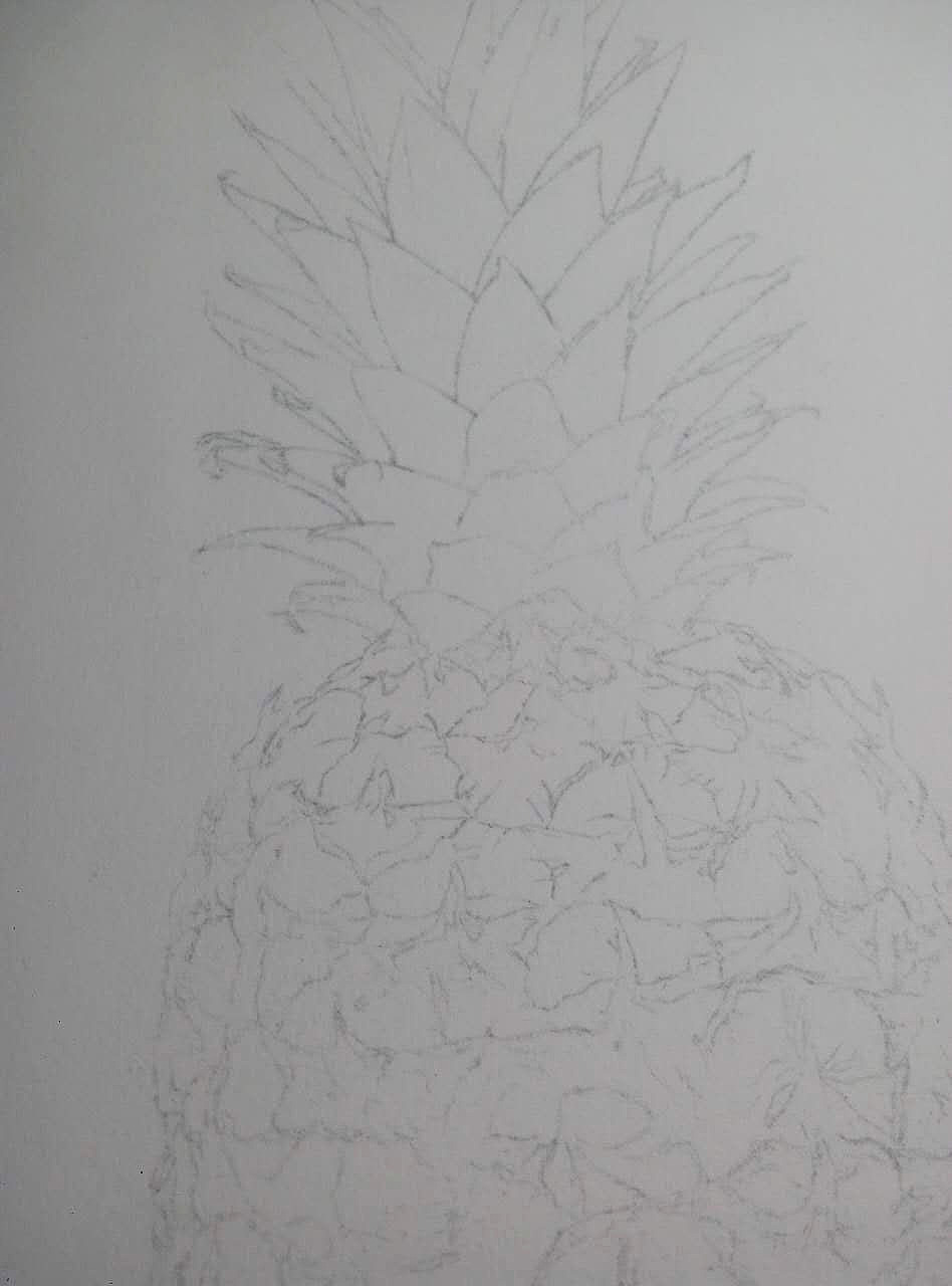 写实水彩插画《菠萝》 这次步骤图绝对详细了。（图ZNjYwMjQ5MjA=） - 创作习作 - 站酷设计师大C画画画原创素材 - 站酷ZCOOL