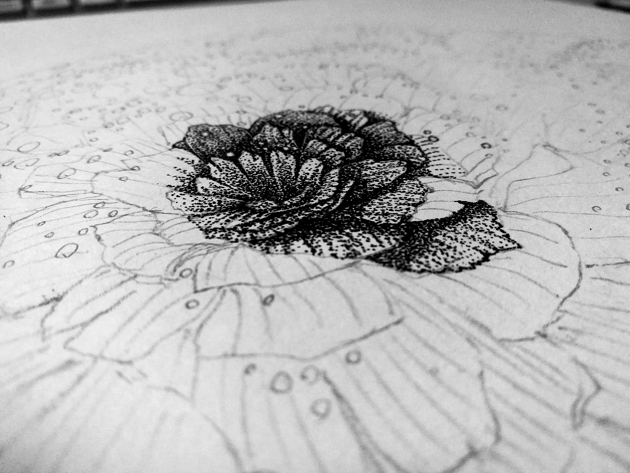 無名花（圖ZNzY3MDAwOTY=） - 創(chuàng)作習(xí)作 - 站酷設(shè)計(jì)師一盒火柴原創(chuàng)素材 - 站酷ZCOOL