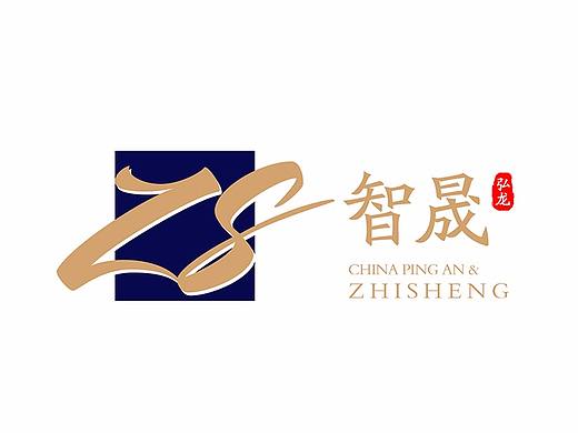 智晟团队logo-飞机稿 咻（个人主页-ZMzU5ODc5NTI=） - Logo - 站酷设计师标新立异2120原创素材 - 站酷ZCOOL