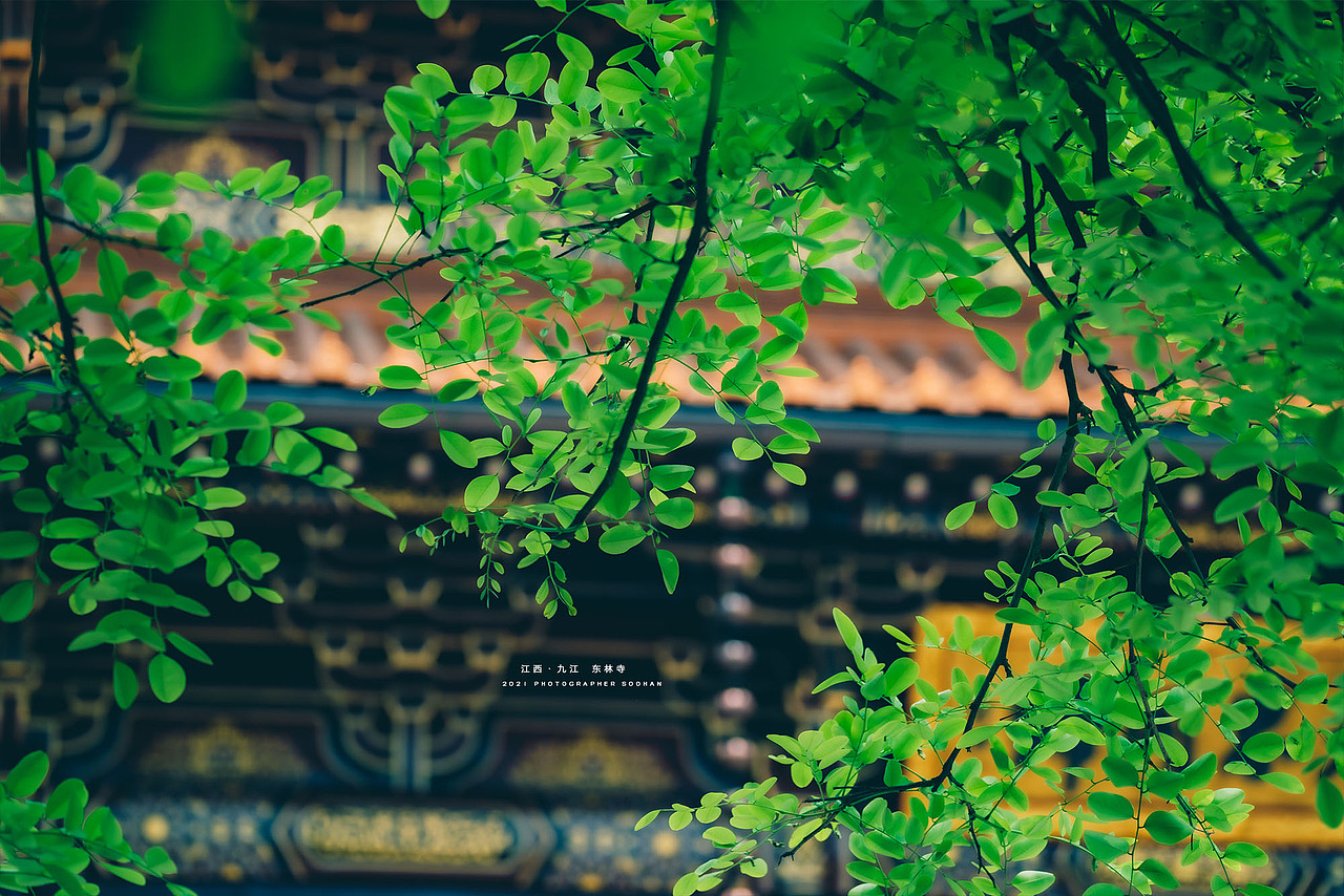 东林寺
