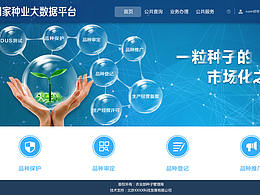 网页首页