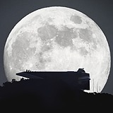 Deep蛙的头像