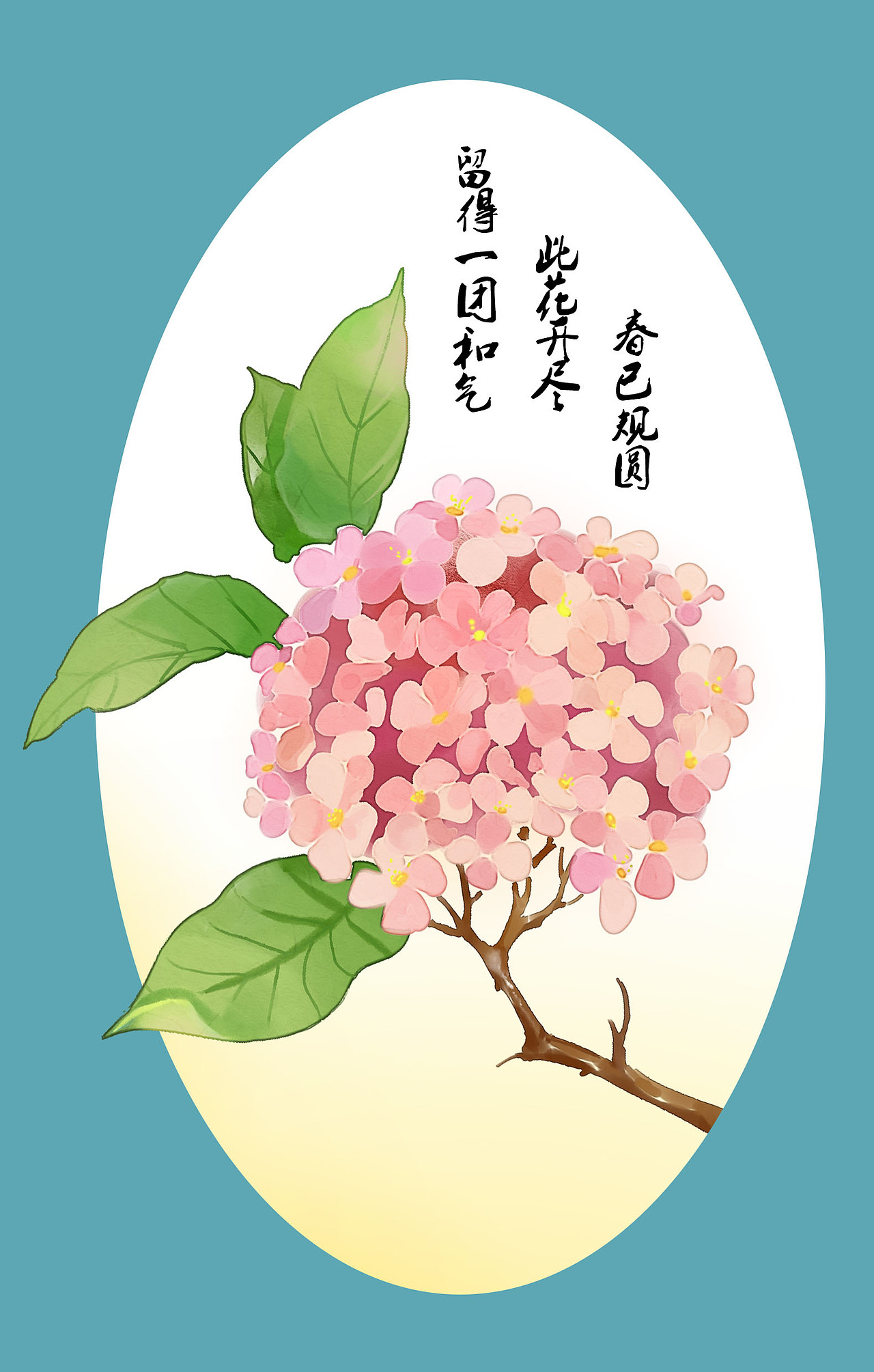 一张小品做。绣球花（图ZMzU0MDU2MzI=） - 商业插画 - 站酷设计师口口韩原创素材 - 站酷ZCOOL