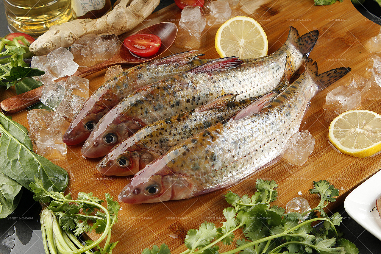 拍照又认识了一堆鱼鱼虾虾丨海鲜拍起来丨飞鸟电商