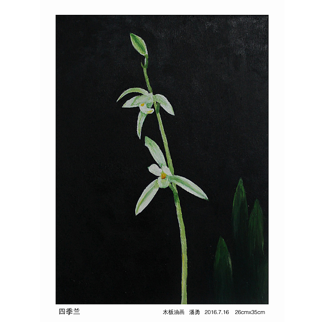 闲时的画（图ZNTU1MDA3NDQ=） - 绘画 - 站酷设计师潘焕勇原创素材 - 站酷ZCOOL