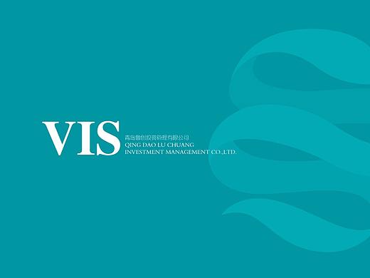 魯創(chuàng)?VIS（個人主頁-ZMzIxNzQwMDg=） - 品牌 - 站酷設(shè)計師Raye888原創(chuàng)素材 - 站酷ZCOOL