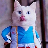 阿遥621的头像