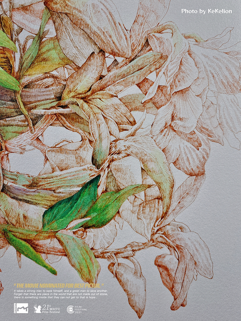 蘸水笔针管笔｜喉红石斛兰（图ZMzI4ODU4MjIw） - 艺术插画 - 站酷设计师CatCastleDZ原创素材 - 站酷ZCOOL