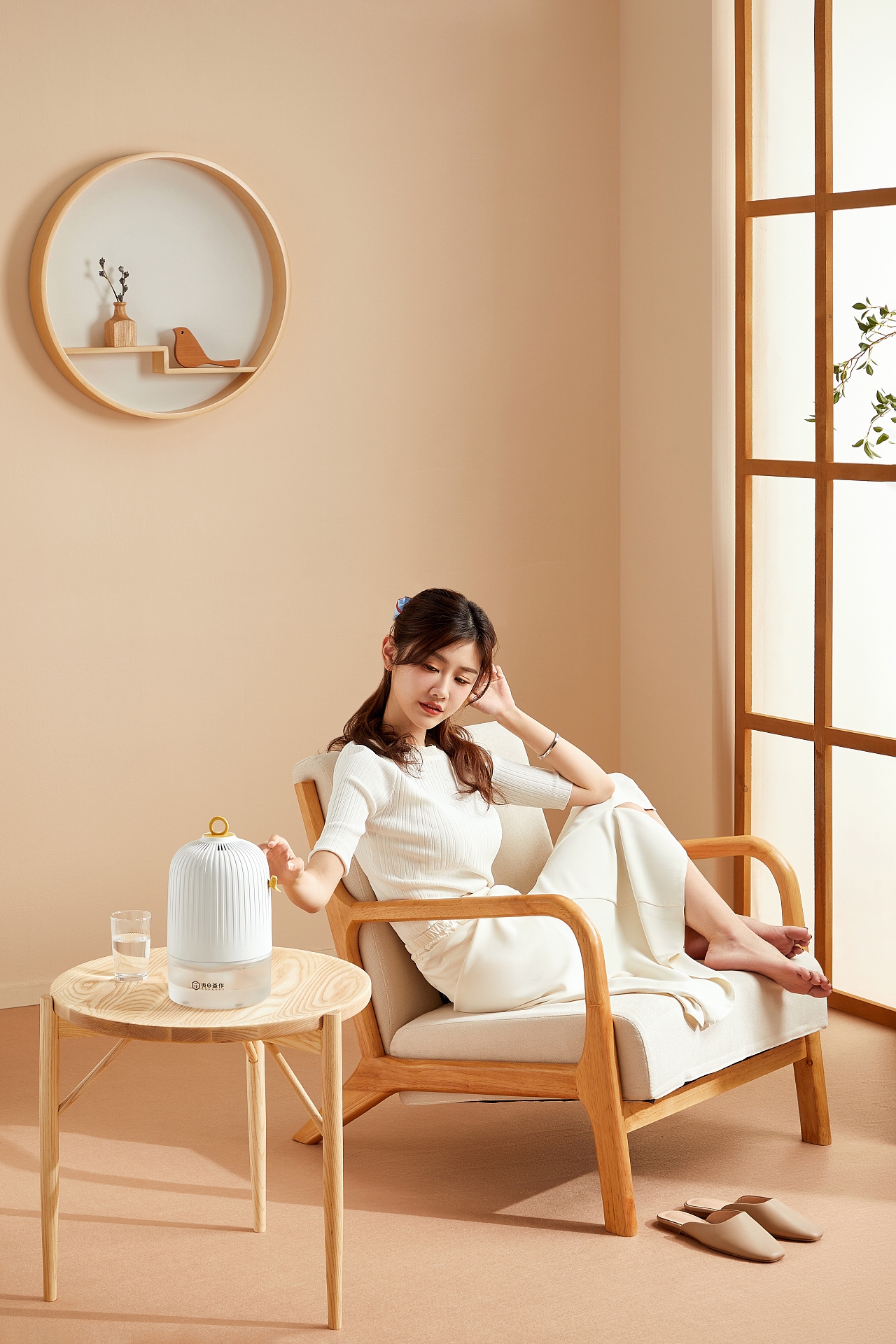 电商场景拍摄-除湿机 加湿器