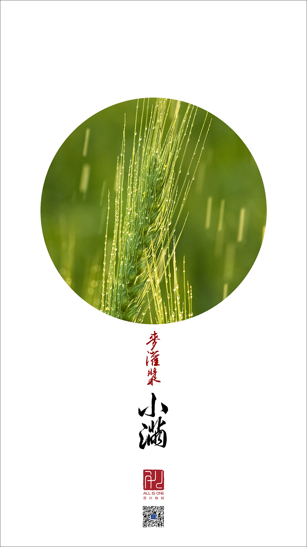 【关关·意画】二十四节气:人生最好的状态——小满