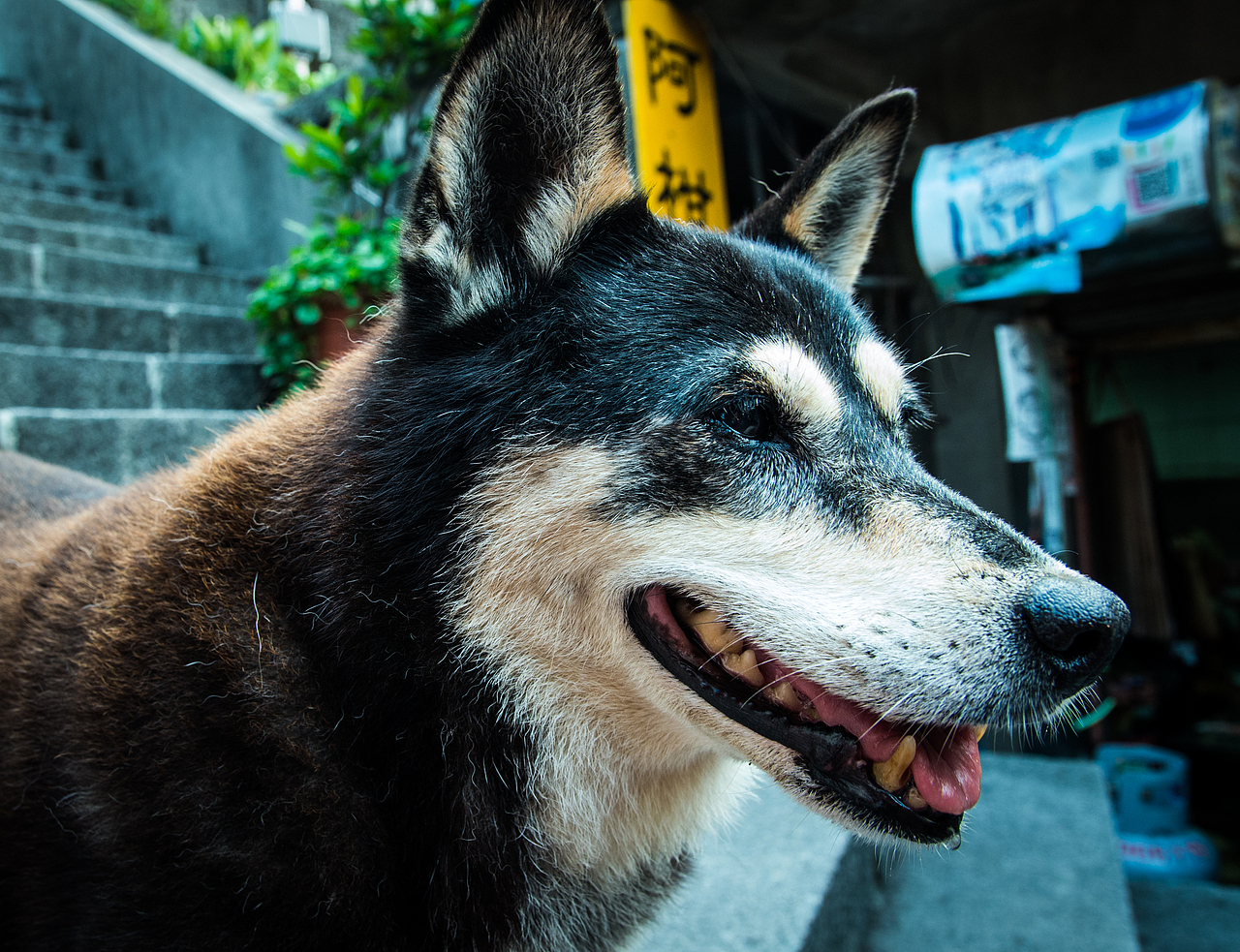 纵贯台湾的旅行#出发的勇气2014#