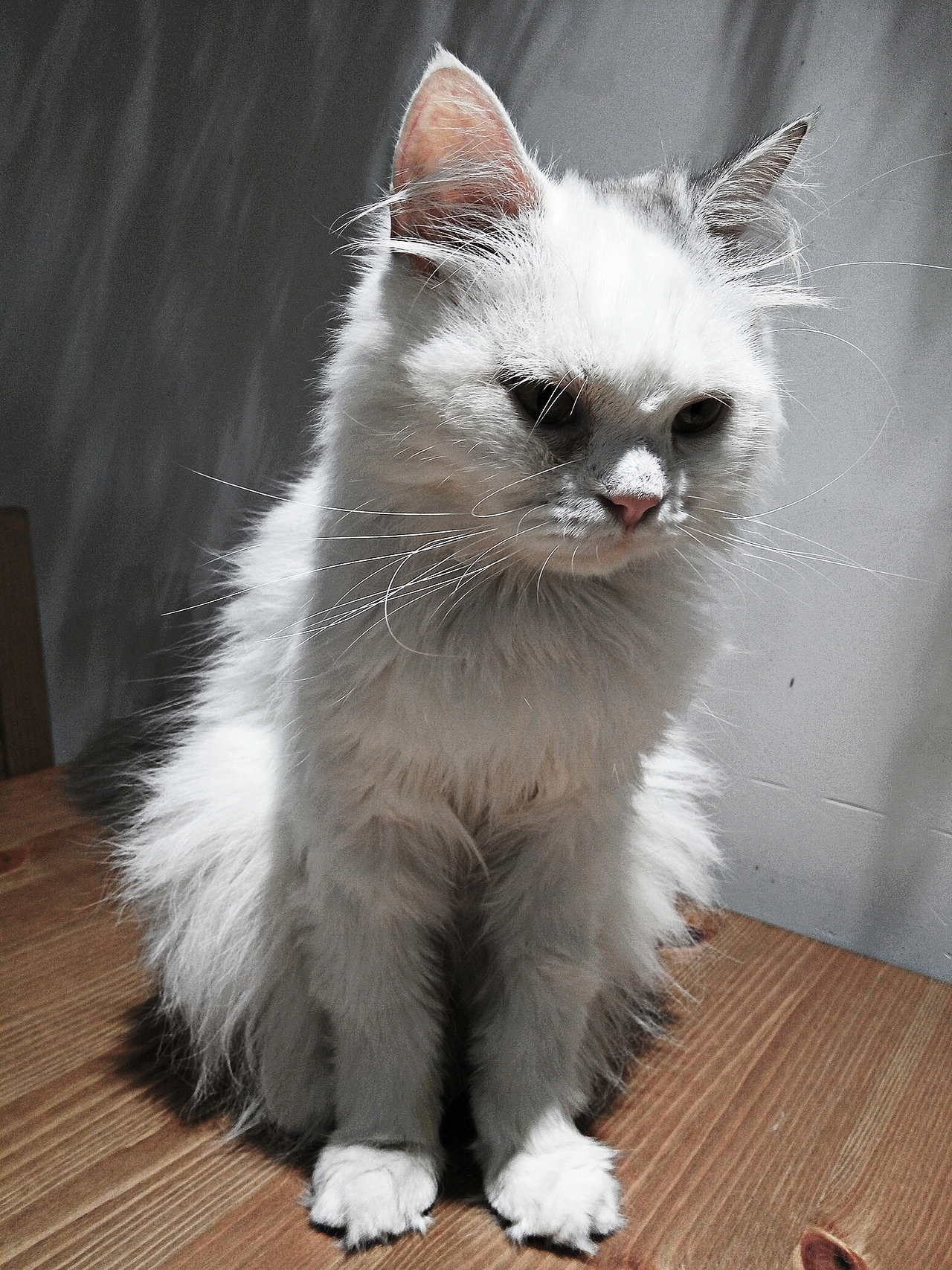 一些手机里的随手拍（图ZMTE3NDYwMTIw） - 风光摄影 - 站酷设计师秋酱Autumn原创素材 - 站酷ZCOOL