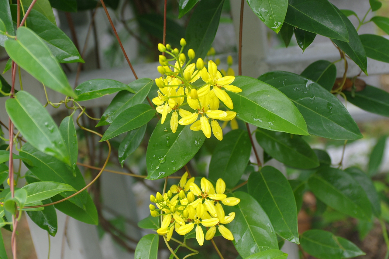 户外摄影--厦门摄影（鼓浪屿、植物园）（图ZNTc4Mzc4NjQ=） - 环境/建筑摄影 - 站酷设计师今天能喝咖啡了吗原创素材 - 站酷ZCOOL