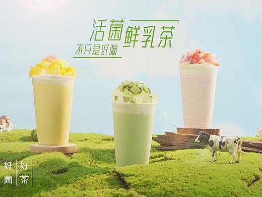 活菌鲜乳奶茶影视拍摄